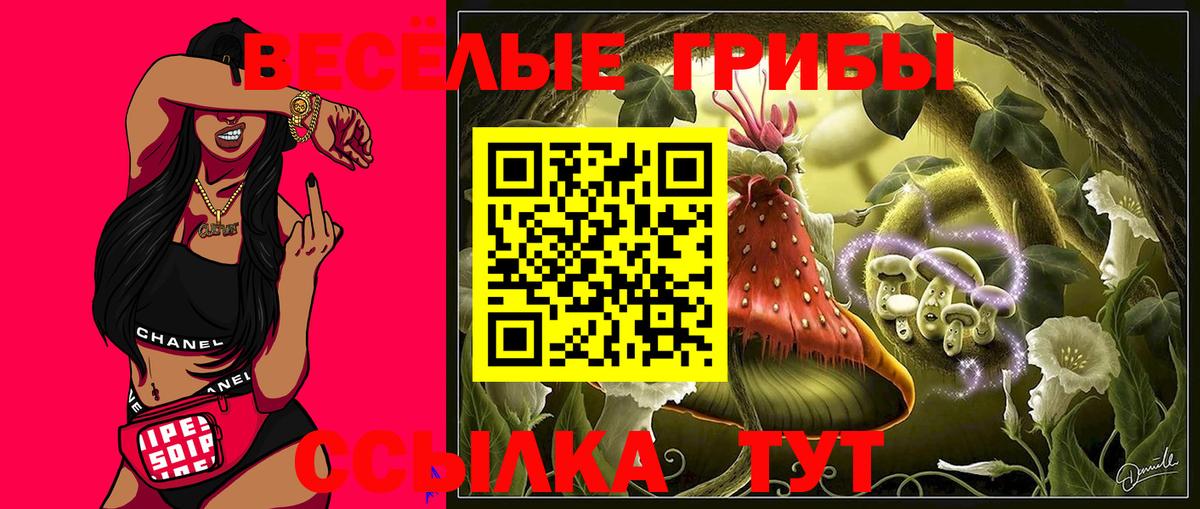 Галлюциногенные грибы мухоморы Юрга
