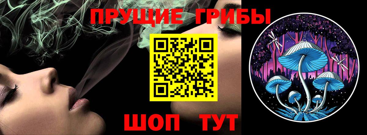Юрга  Галлюциногенные грибы Psilocybine cubensis  Вход с VPN 